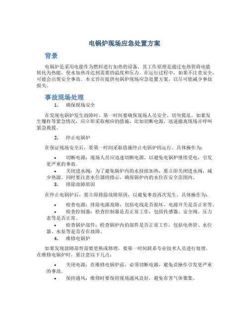 电锅炉现场应急处置方案