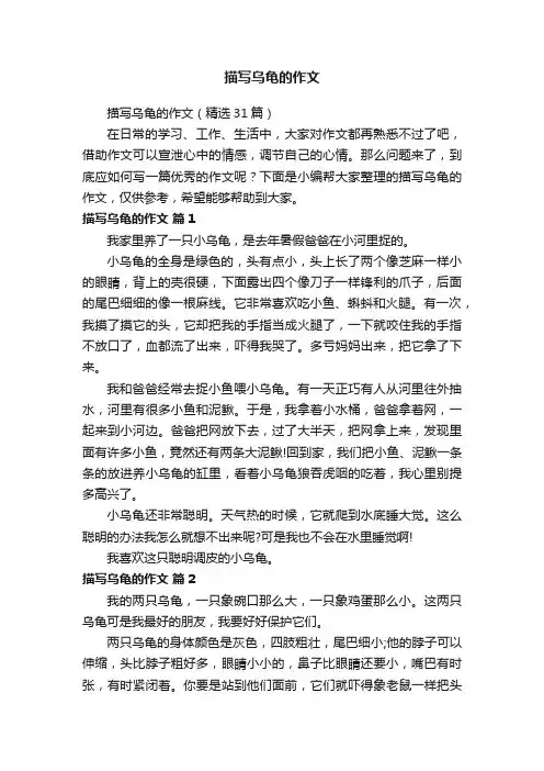 描写乌龟的作文（精选31篇）