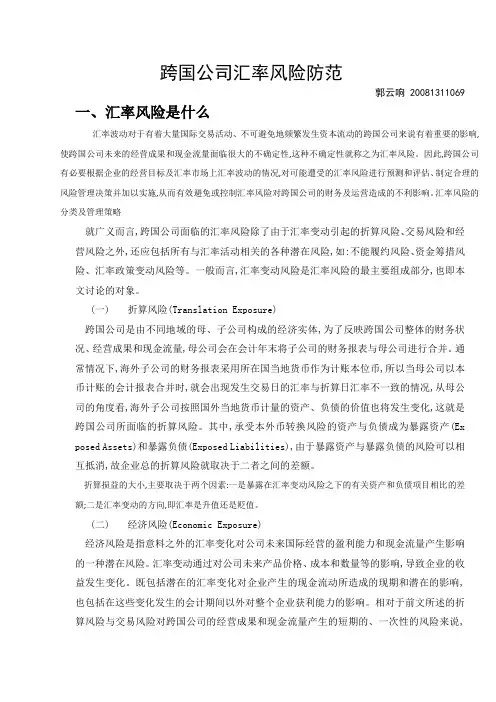 跨国公司汇率风险防范