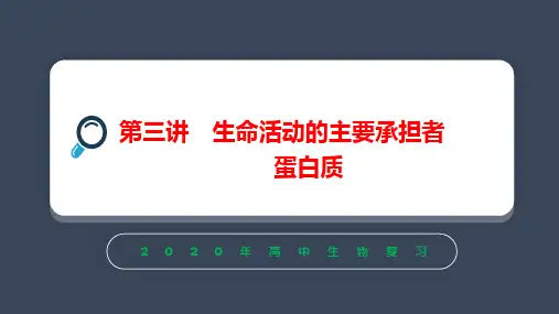 2020人教版高考生物生命活动的主要承担者蛋白质 考点、考纲、考题分析(共31张PPT)