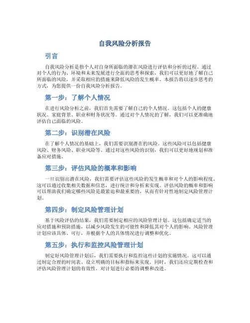 自我风险分析报告