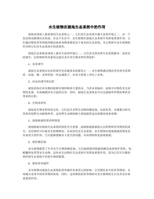 水生植物在湿地生态系统中的作用