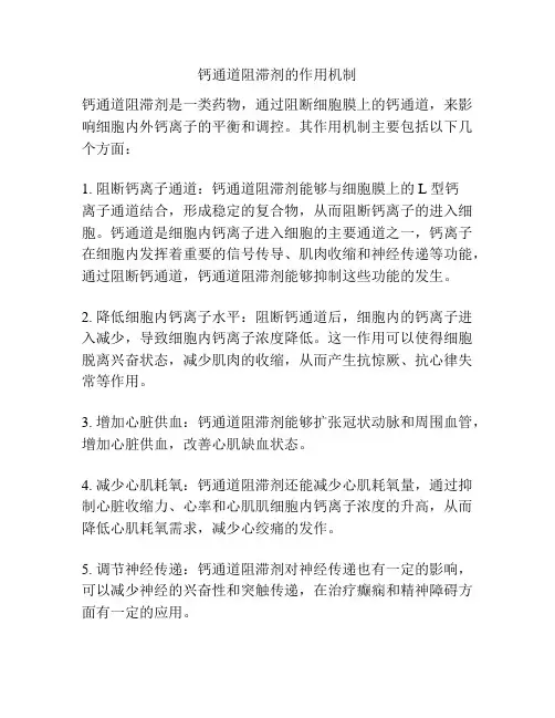 钙通道阻滞剂的作用机制