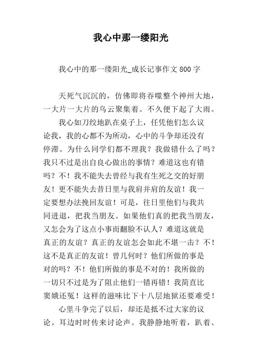 我心中那一缕阳光