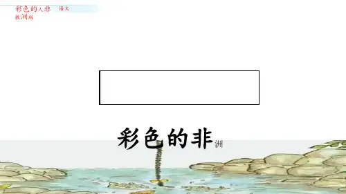 《彩色的非洲》-优质ppt课件