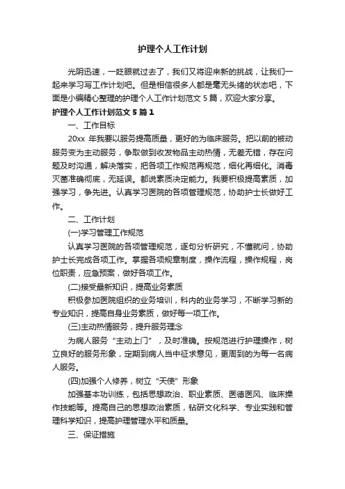 护理个人工作计划范文5篇