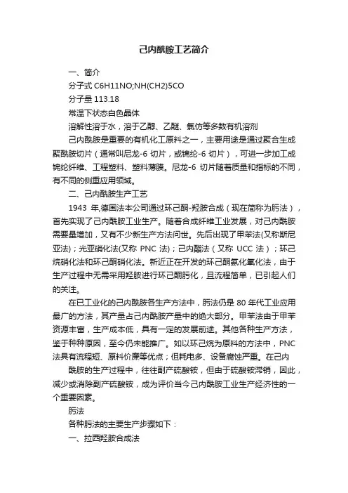 己内酰胺工艺简介