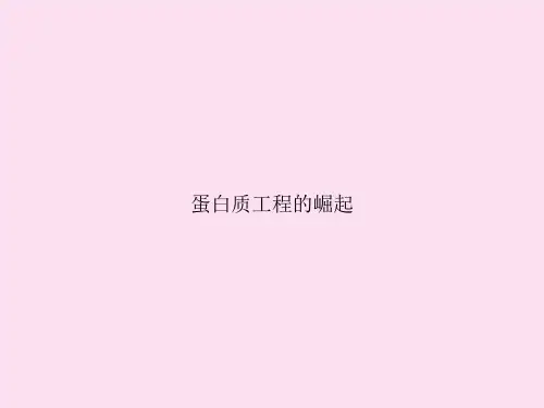蛋白质工程的崛起