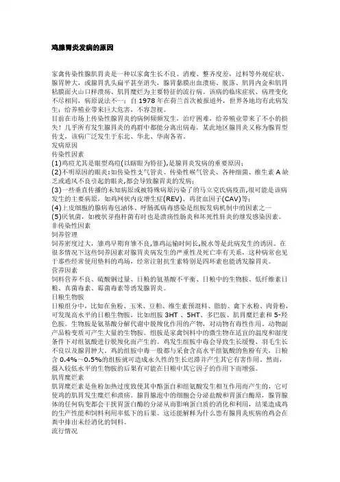 鸡腺胃炎发病的原因