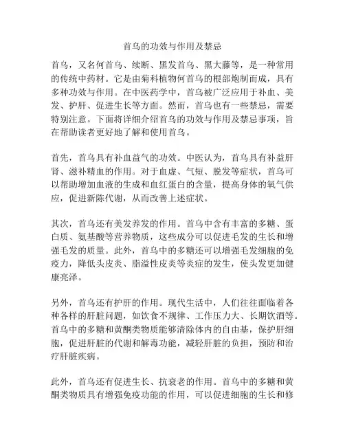 首乌的功效与作用及禁忌