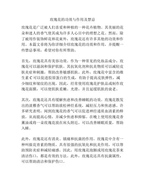 玫瑰花的功效与作用及禁忌