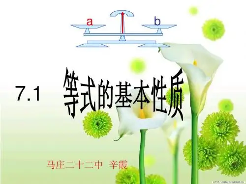 等式的基本性质
