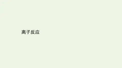 2021届高考化学二轮复习：离子反应课件(101张)