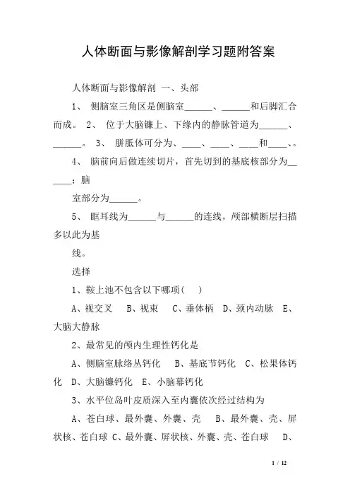 人体断面与影像解剖学习题附答案