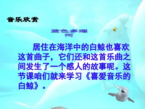 喜爱音乐的白鲸PPT课件