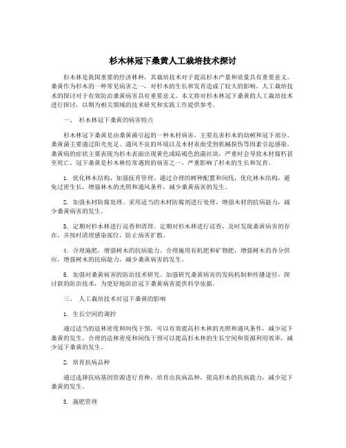 杉木林冠下桑黄人工栽培技术探讨
