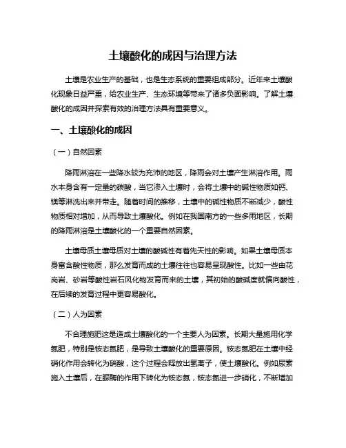 土壤酸化的成因与治理方法