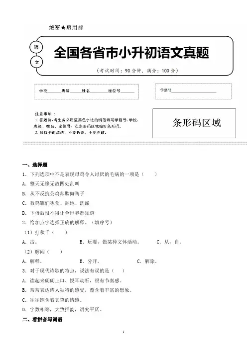 【小升初】2020年福建省泉州市小升初语文毕业会考试题含答案(全网唯一)