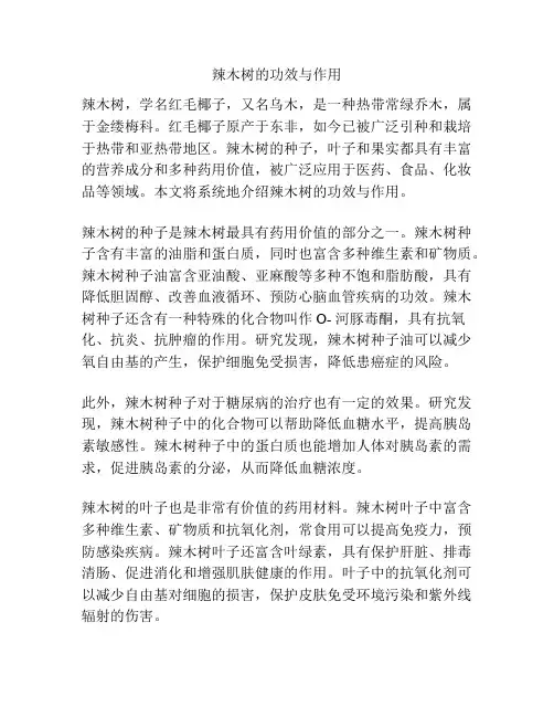 辣木树的功效与作用