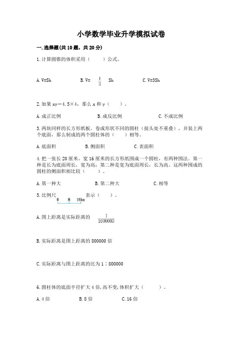 小学数学毕业升学模拟试卷(精品)