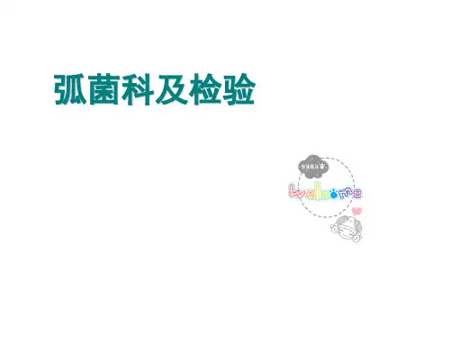 弧菌