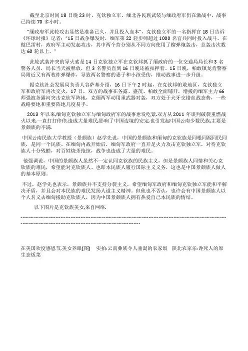 缅政府军与少数民族武装冲突升级的起因(图)
