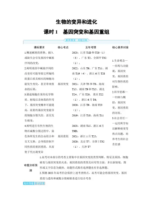2025年高中生物高考精品备课教案：基因突变和基因重组