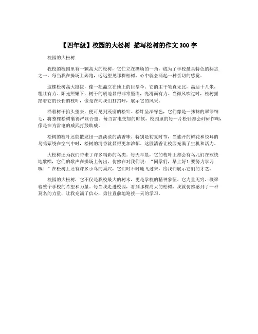 【四年级】校园的大松树 描写松树的作文300字