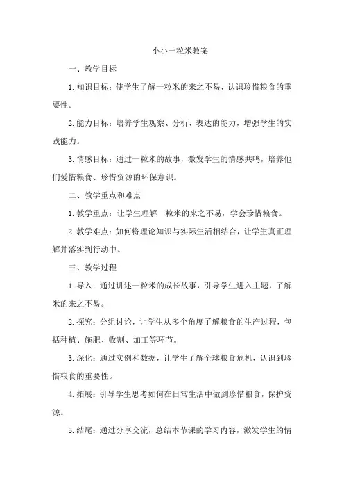小小一粒米教案