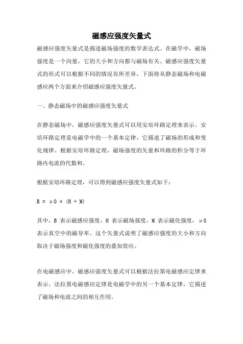 磁感应强度矢量式