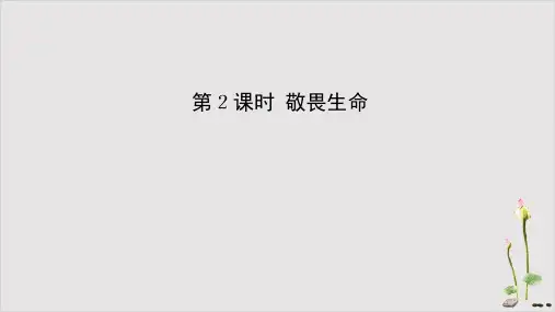 《敬畏生命》部编版道德与法治ppt实用课件