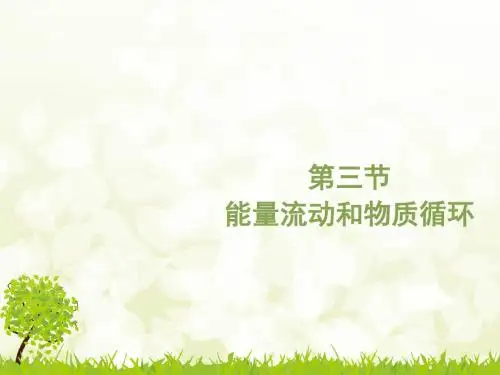 济南版八下生物  6.2.3能量流动与物质循环 课件   (共23张PPT)