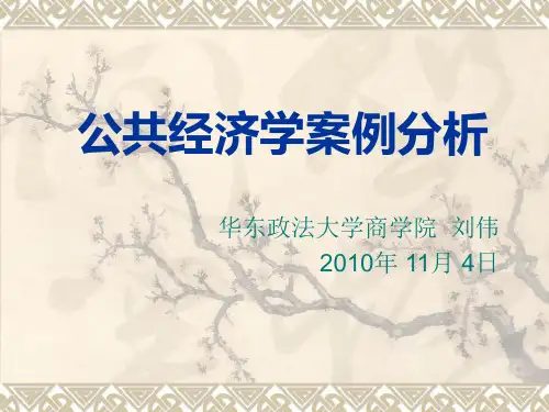 公共经济学案例分