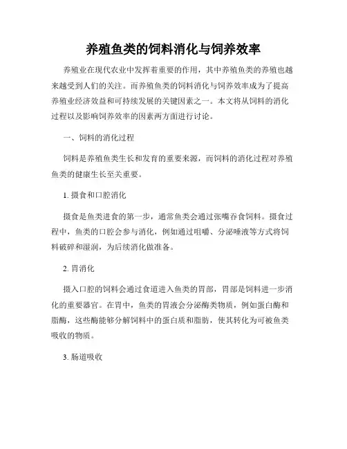 养殖鱼类的饲料消化与饲养效率