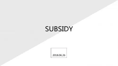 subsidy公共管理专业英语词汇讲解