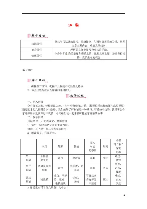 七年级语文上册第五单元16猫教案新人教版 (3)