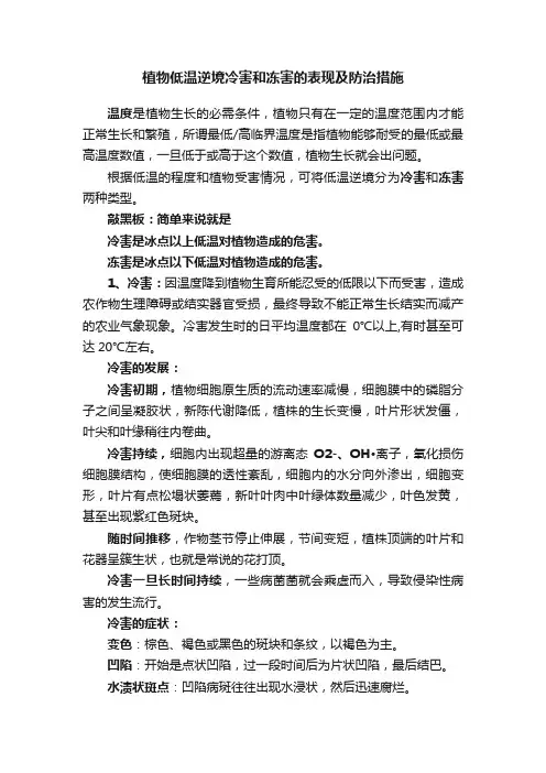 植物低温逆境冷害和冻害的表现及防治措施