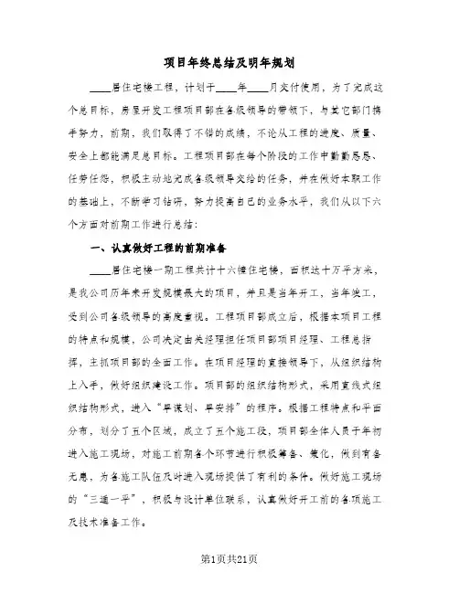 项目年终总结及明年规划(五篇)