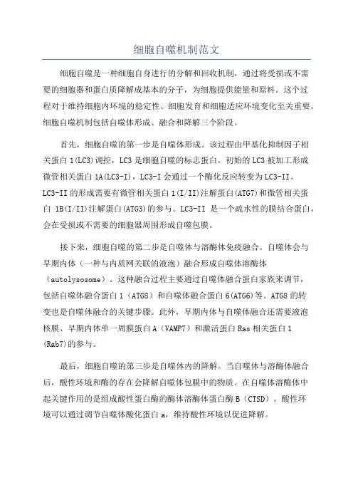 细胞自噬机制范文