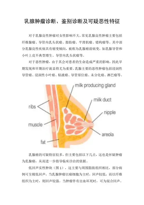 乳腺肿瘤诊断、鉴别诊断及可疑恶性特征