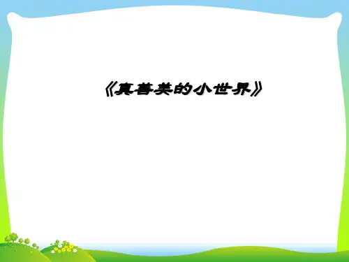人教版五年级音乐上册：《真善美的小世界》课件.ppt