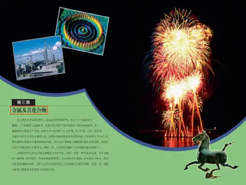 化学必修一第一节金属的化学性质ppt