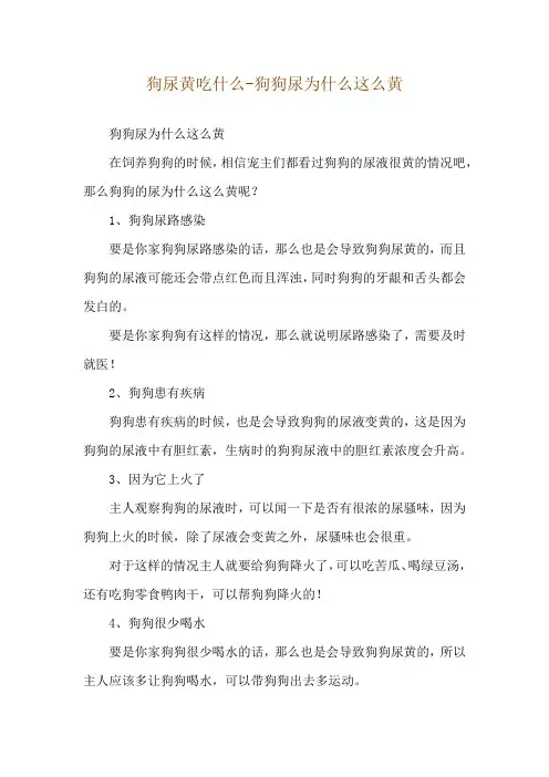 狗尿黄吃什么-狗狗尿为什么这么黄