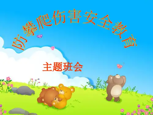 防攀爬伤害主题班会(2)