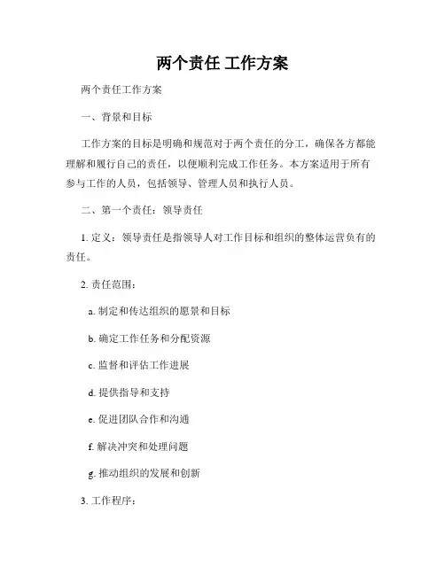 两个责任 工作方案