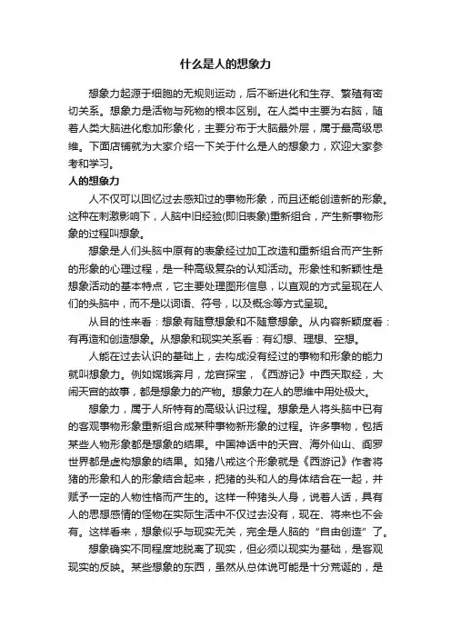 什么是人的想象力