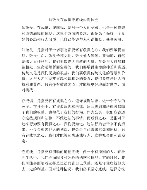 知敬畏存戒惧守底线心得体会