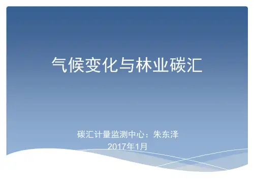 气候变化与林业碳汇精品PPT课件