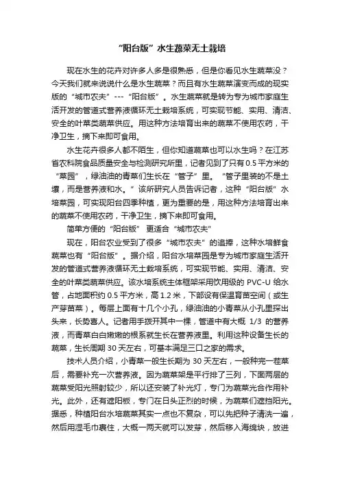 “阳台版”水生蔬菜无土栽培