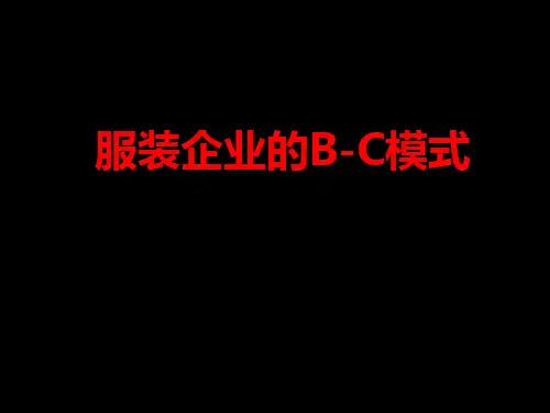 解析服装企业的B-C模式